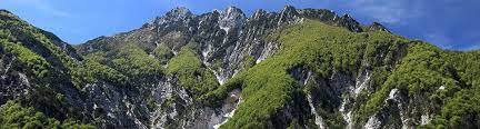 monte CUZZER